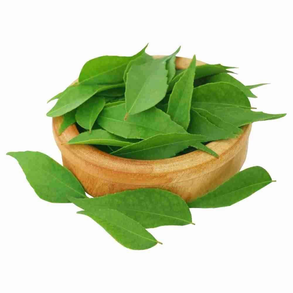 Dried Curry Leaves | Murrya koenigii | Dry Kadi Patta | Curry Leaf|1kg